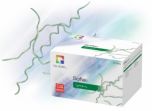 Lyme Disease Testing Kit for SOFIA 2 (15 Tests)