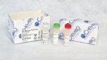 DPP HIV-Syphilis Control Pack 