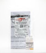 Syphilis Health Check Controls