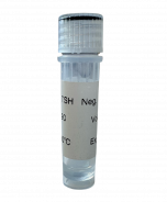 CLIAwaived, Inc. Negative Rapid TSH Control