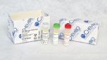 DPP HIV-Syphilis Control Pack