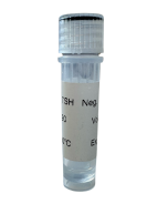 CLIAwaived, Inc. Negative Rapid TSH Control