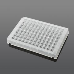 0.5 ml 96-Well Deep Well Plate, V Conical Bottom, Square well, Non Sterile