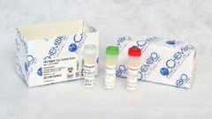 DPP HIV-Syphilis Control Pack 