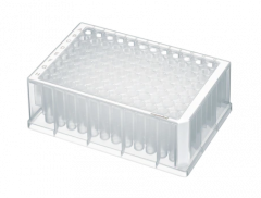 Deepwell Plate 96/2000 µL (80 plates)