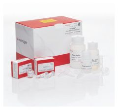 Invitrogen‚™¬†PureLink‚™ Viral RNA/DNA Mini Kit