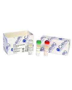 HIV Rapid Test Control Pack